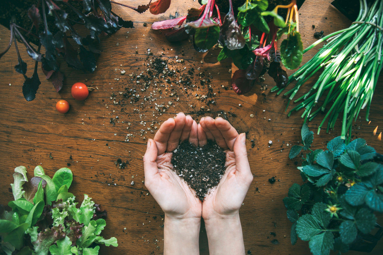 Fitting the Taste of MTE® into Your Daily Routine