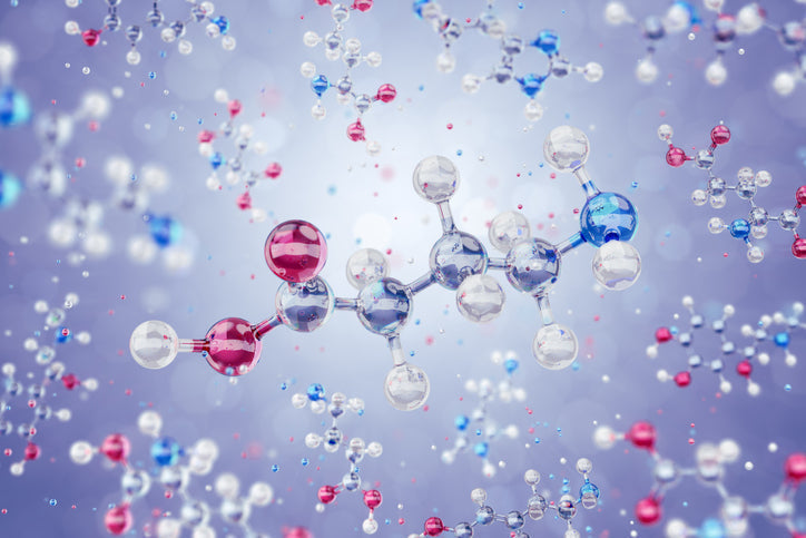 GABA: Nootropic, Amino Acid, Neurotransmitter, or All of the Above?
