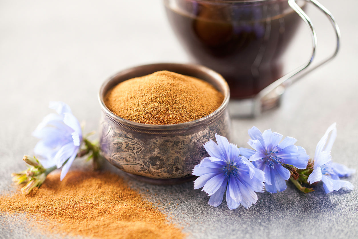 Chicory Root: A Superfood with Staying Power