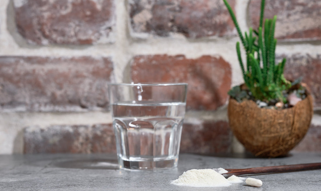 A Nootropic Drink Powder for Productivity? Yes, Please!