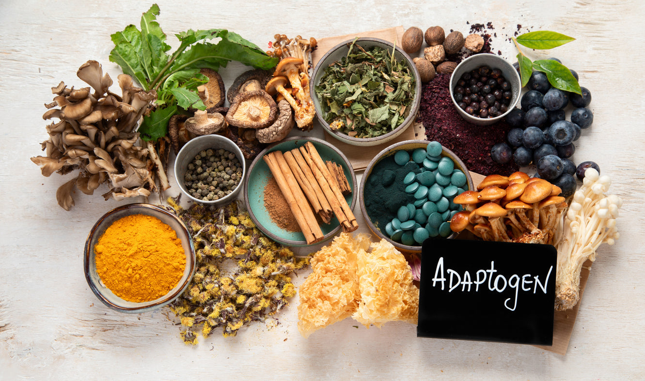 Why Traditional Supplements Don’t Work & How Adaptogens Build Resilient Energy