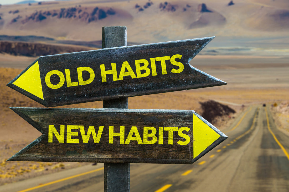 Quell the Struggles of Quitting with Adaptogens & Nootropics